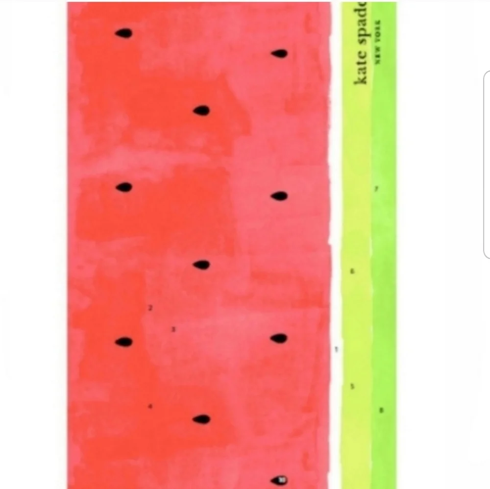 Kate Spade Luxuriously Oversized Beach Towel